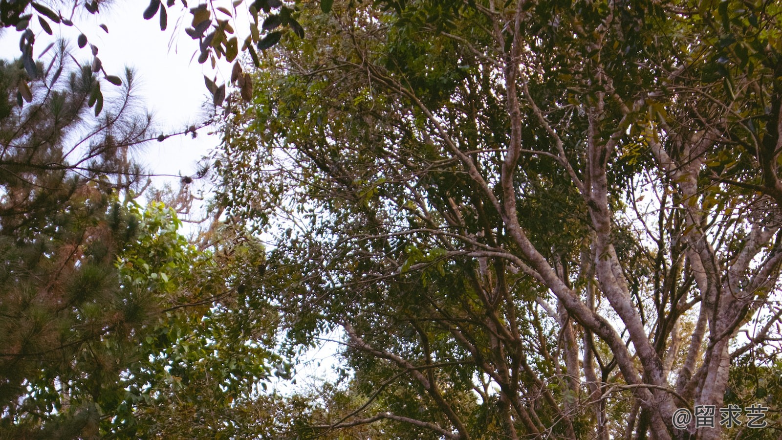 現(xiàn)在美國名校的大學畢業(yè)生是不是也不好找工作