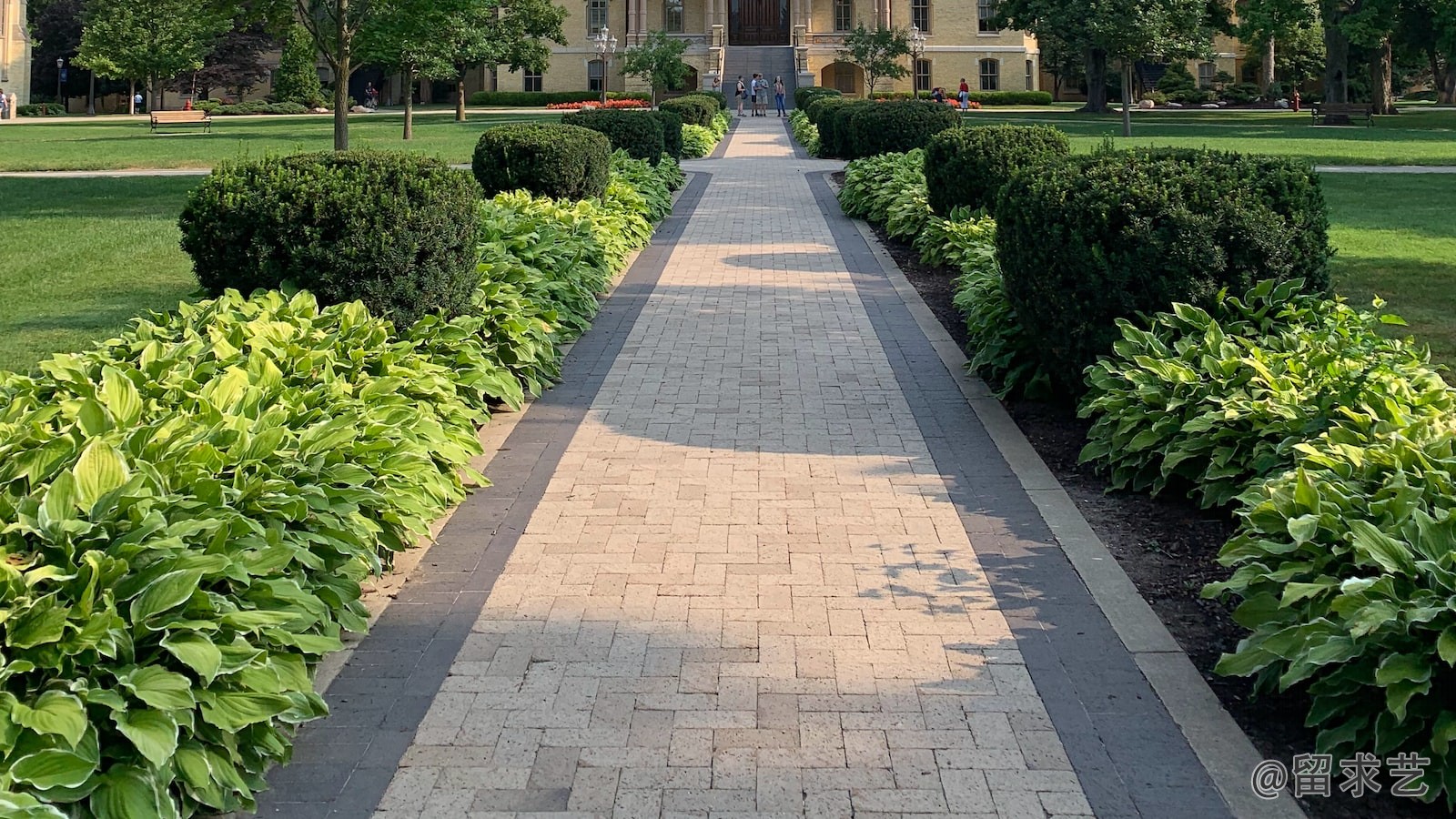 伊利諾伊大學(xué)厄本那—香檳分校 University of illinois urbana champaign,UIUC 這所美國大學(xué)怎么樣