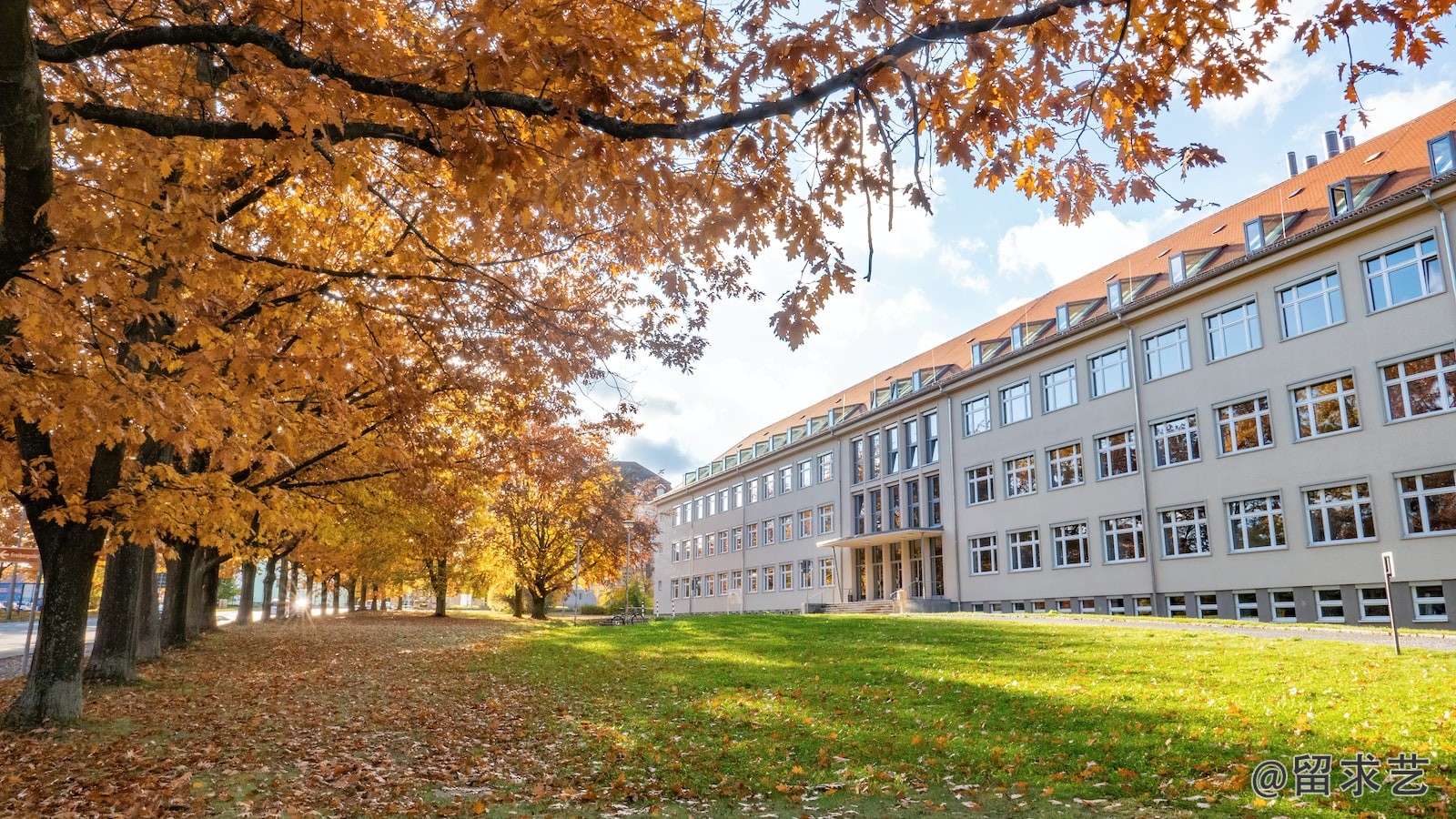 東京大學有沒有力學專業(yè)