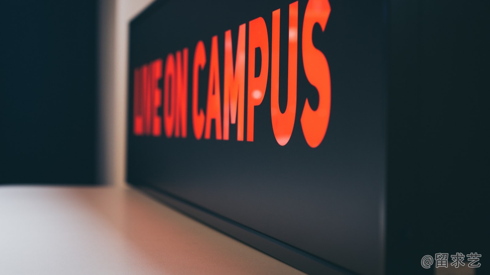 杜魯門大學的介紹