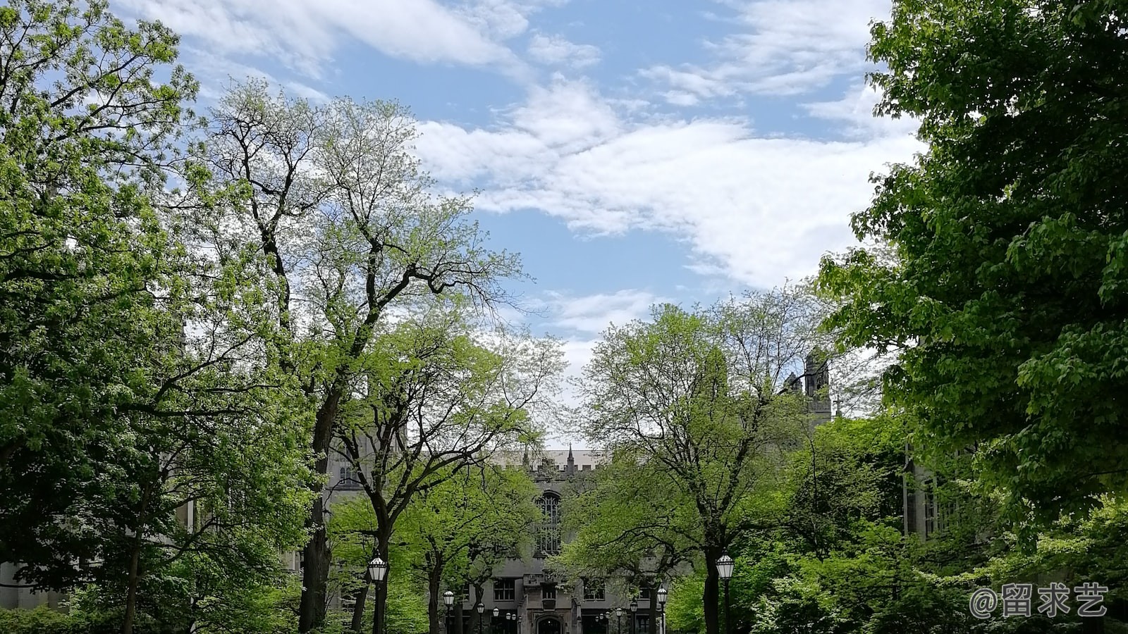 福特漢姆大學(xué) 玫瑰山校區(qū)和林肯中心校區(qū)哪個好