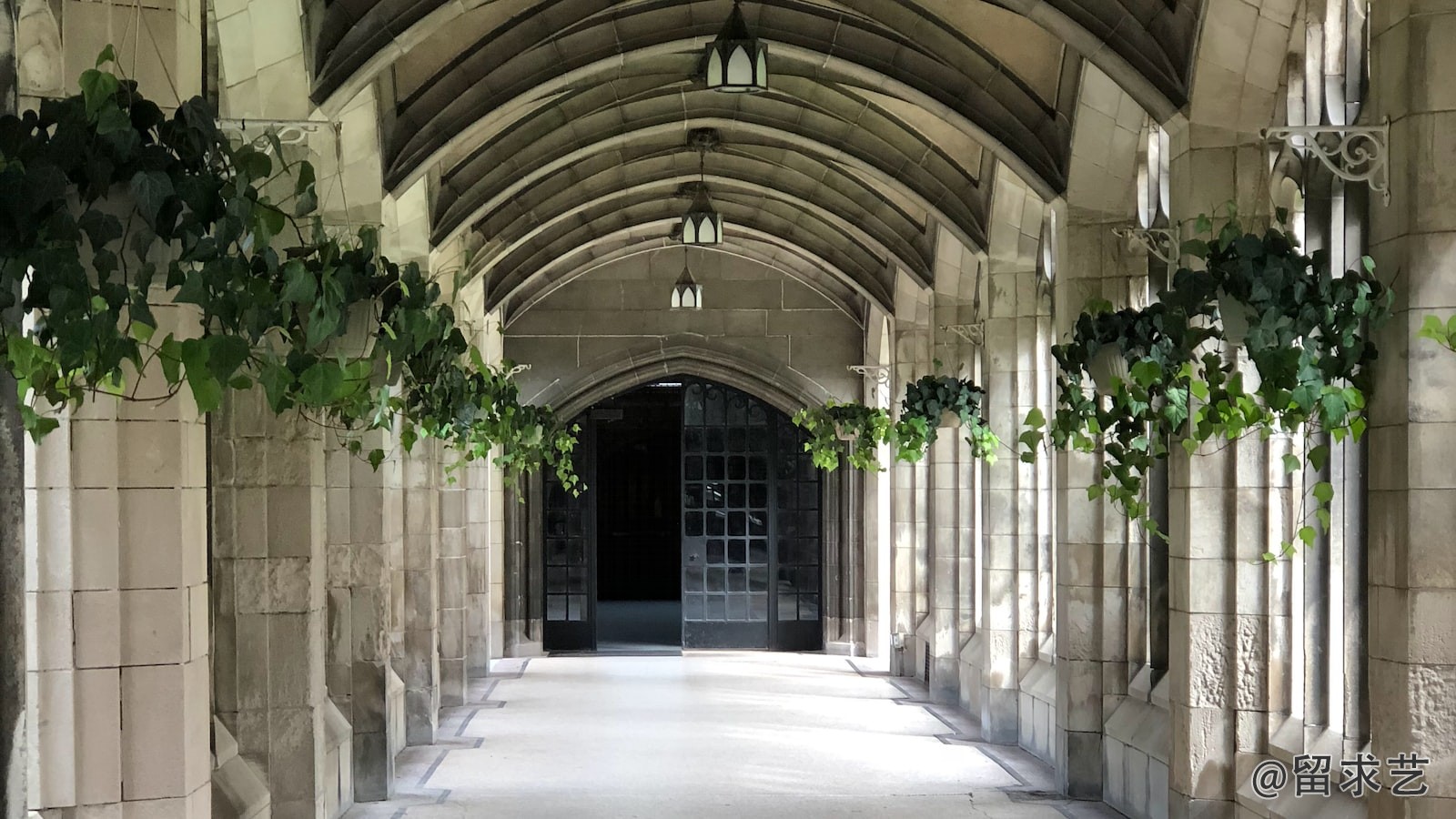 大原大學大學概況