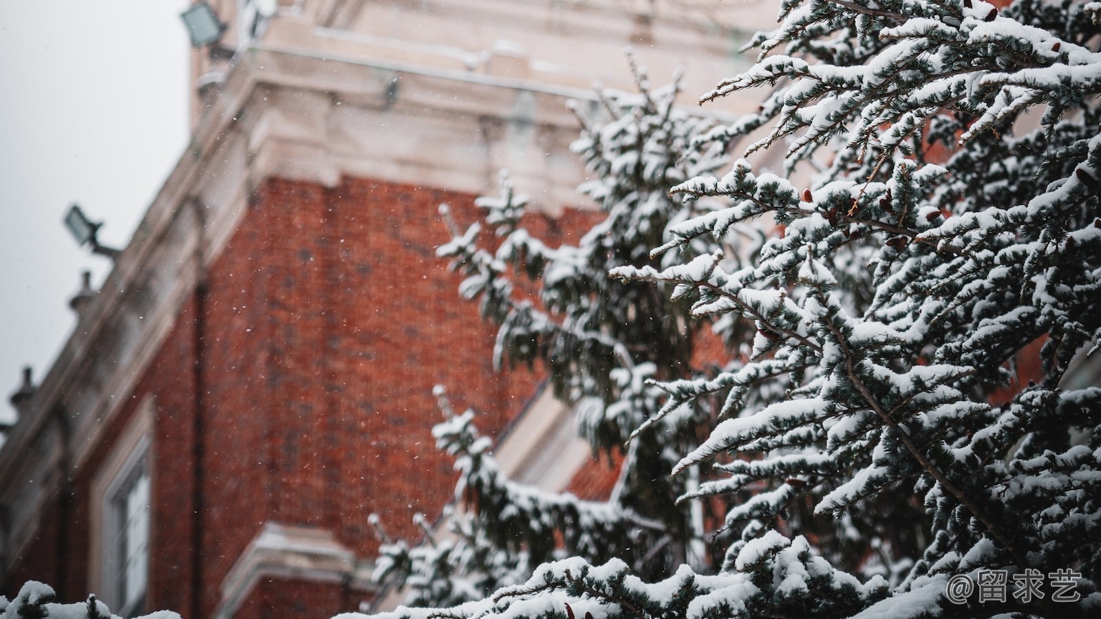 國家滑雪中心攻略