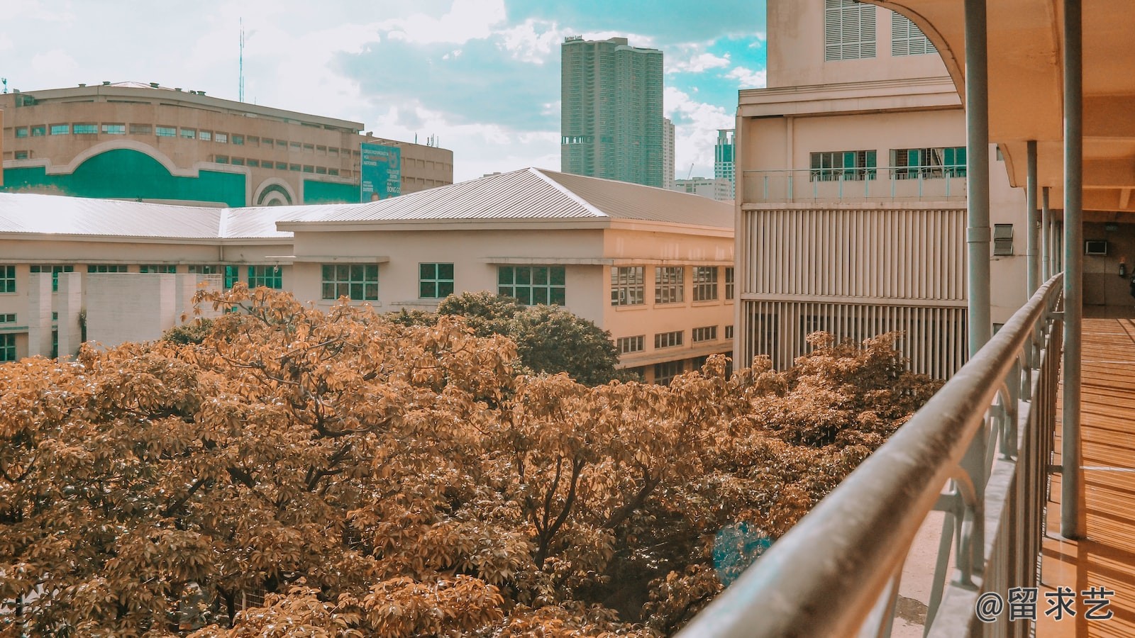 申請(qǐng)澳洲大學(xué)碩士一般需要什么背景
