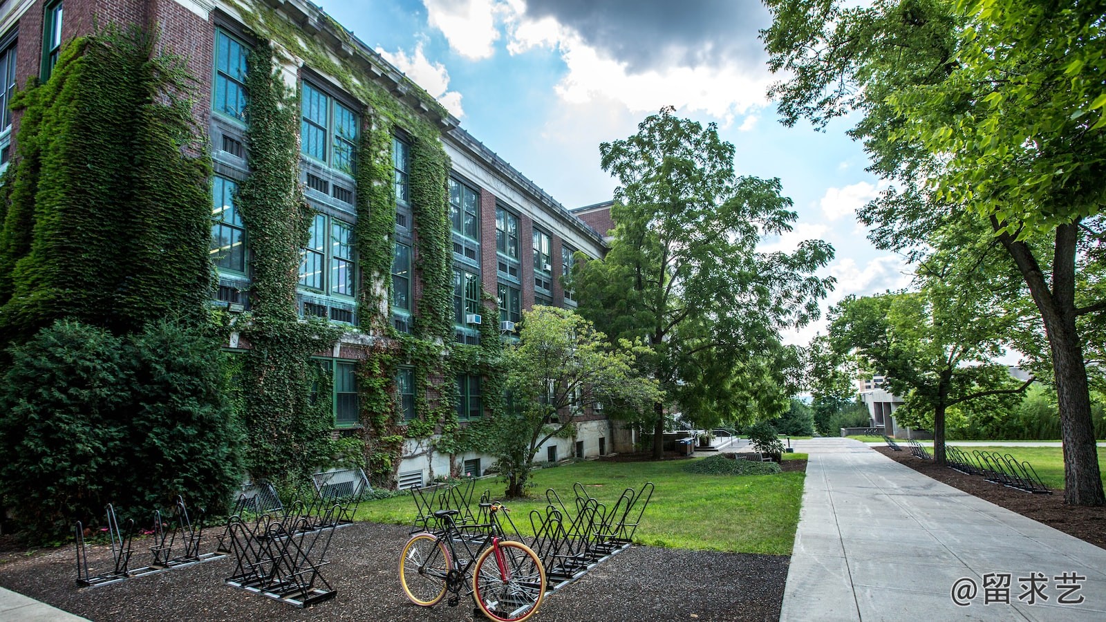 石河子大學在市中心嗎