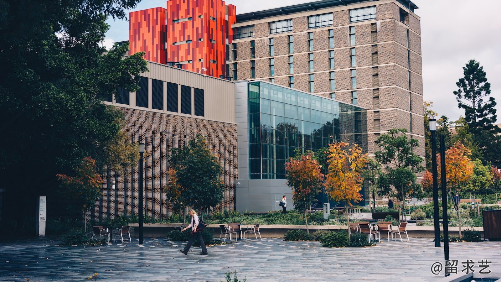 中國香港大學