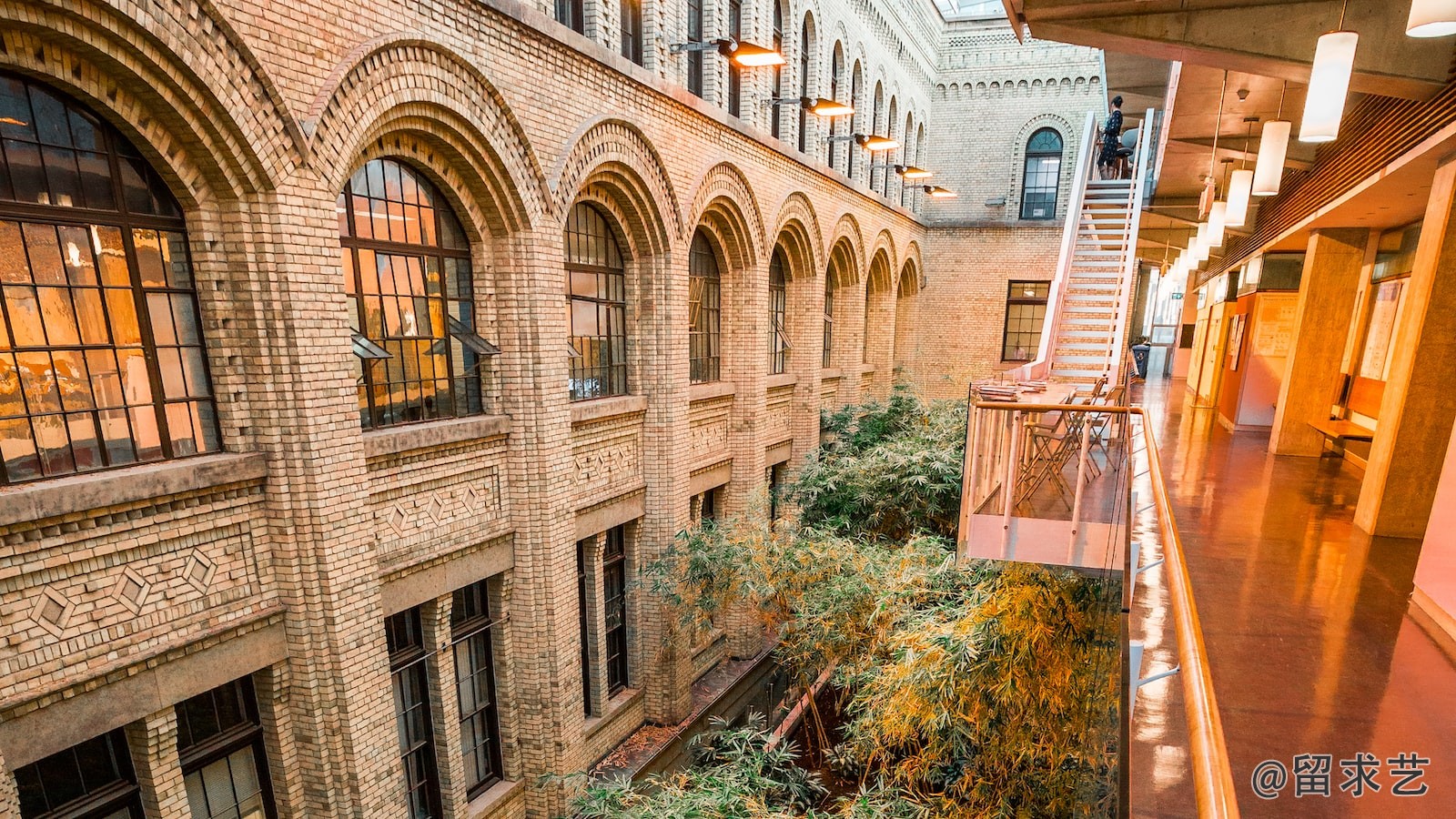 世界大學(xué)排名前100