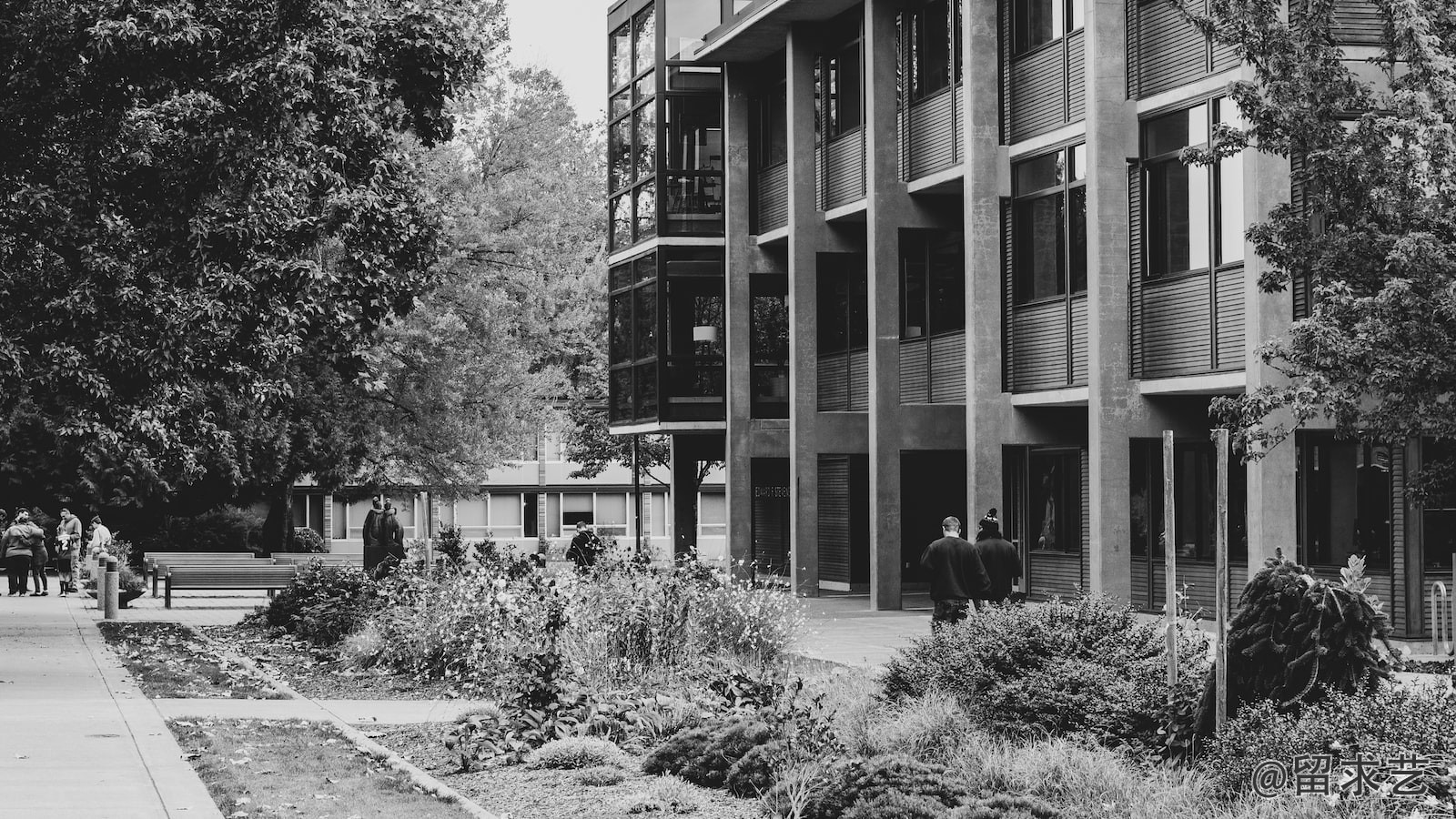 hkust還是hku
