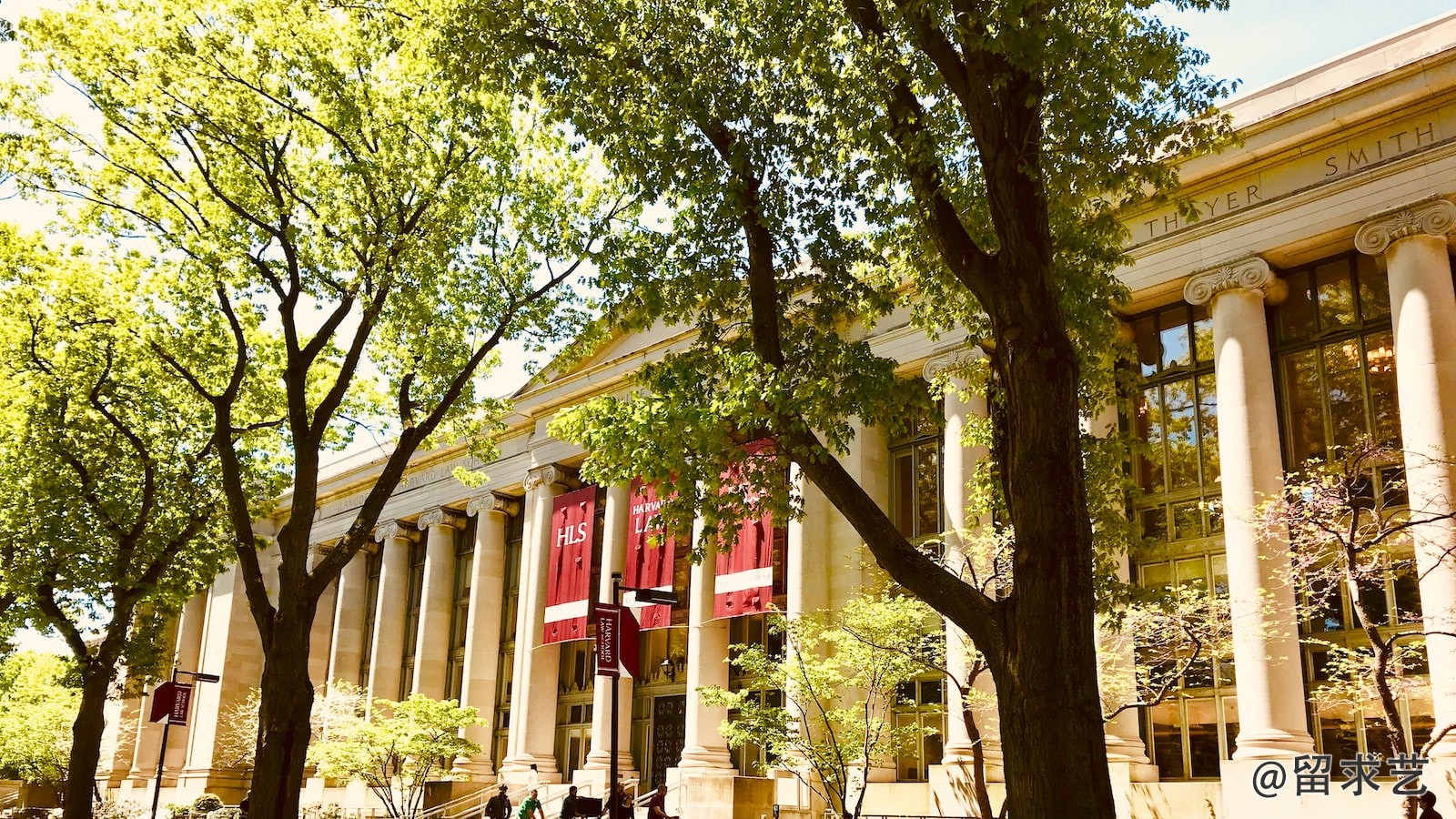 上海大學中外合辦可以參加選調生嗎