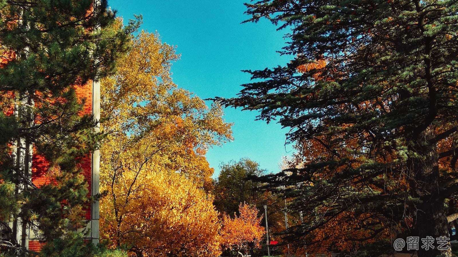 鞍山公辦大學(xué)有哪些