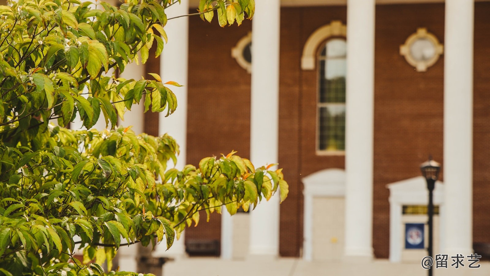 本科去加拿大讀college是倒讀嗎