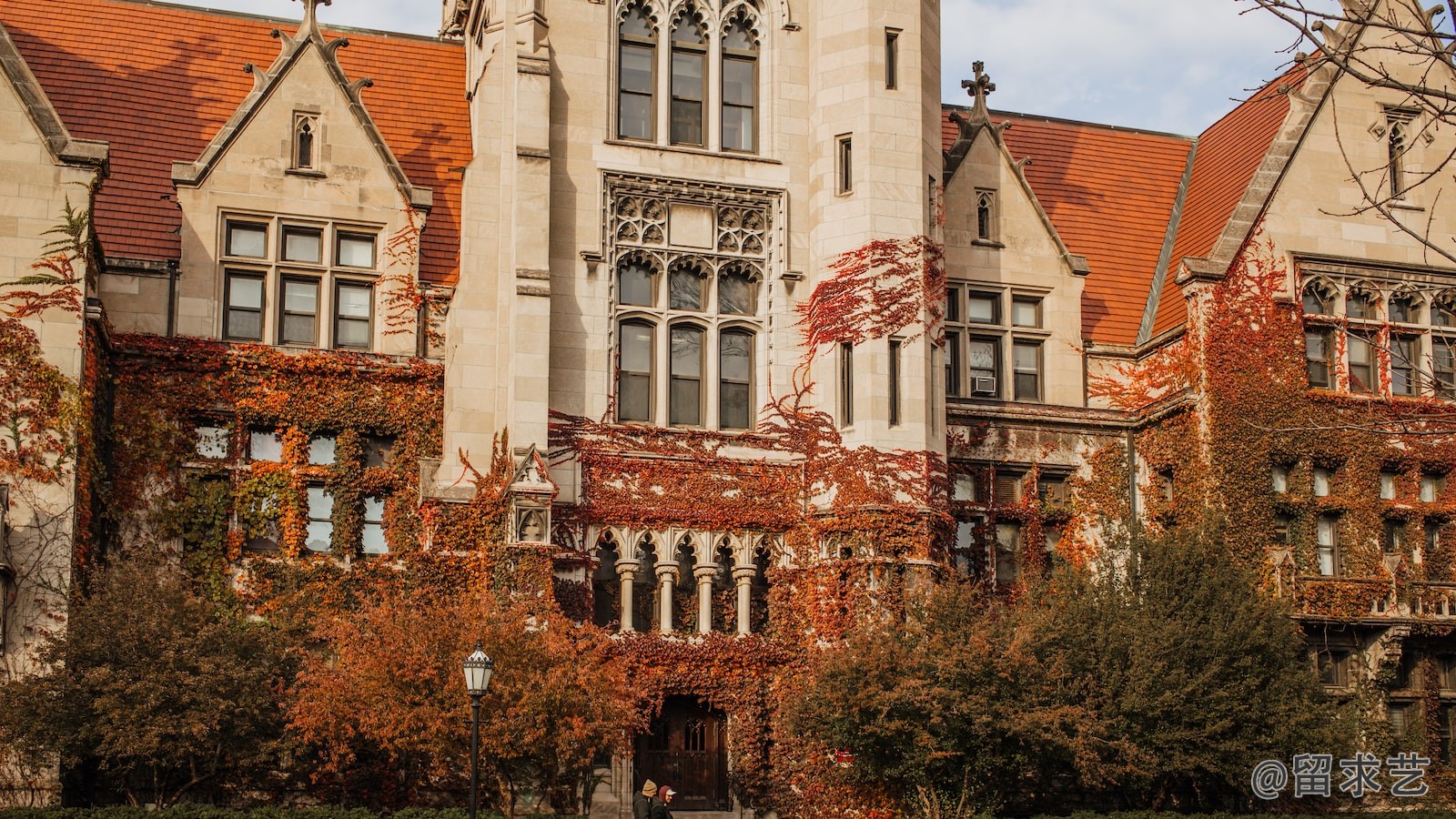 zoomuniversity是啥大學