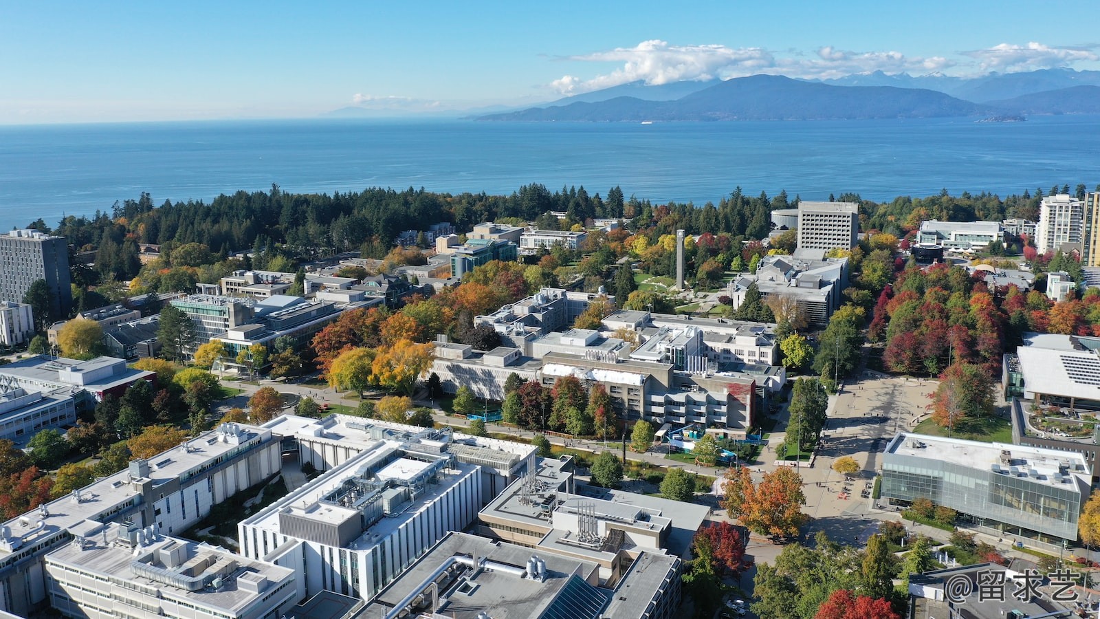 OSSD課程可以申請國內的大學嗎？