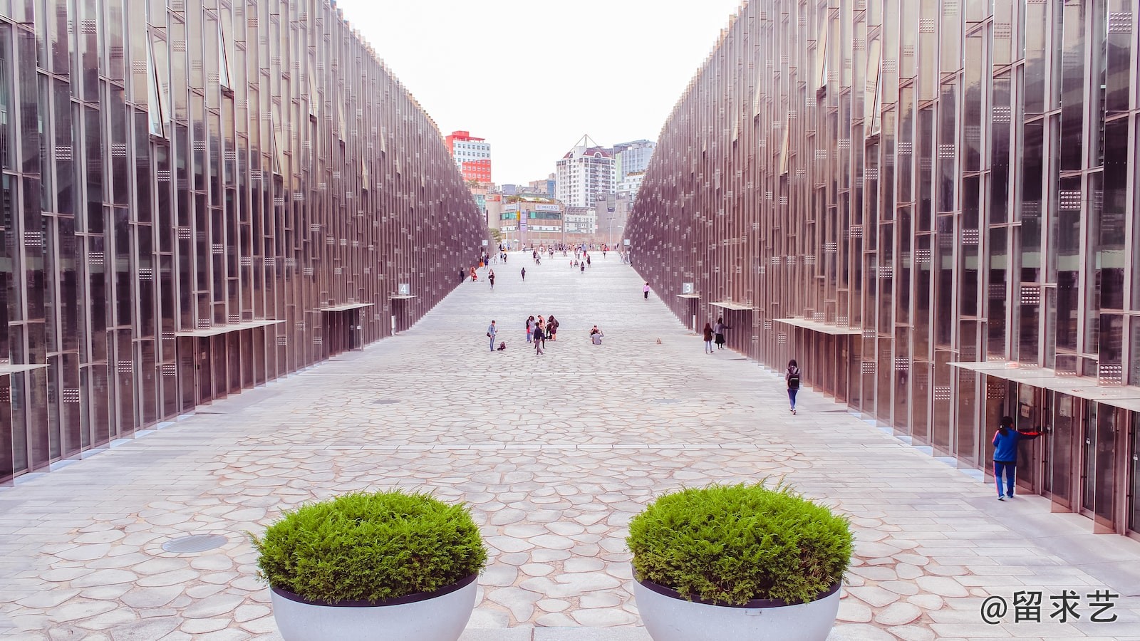 美國哈佛大學(xué)