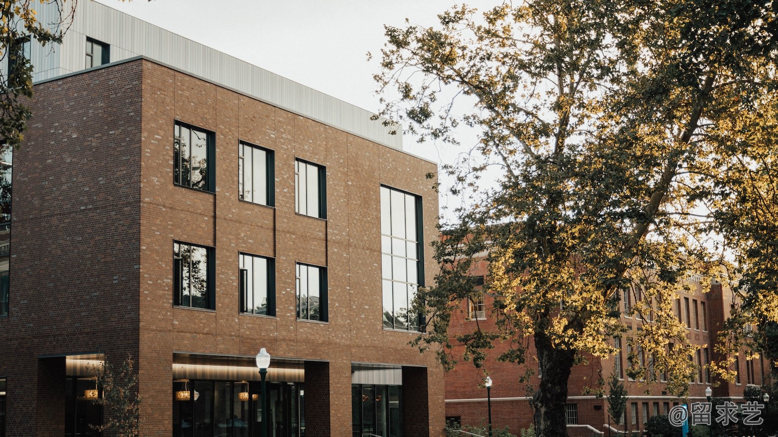 世界第一所大學誰建,在哪