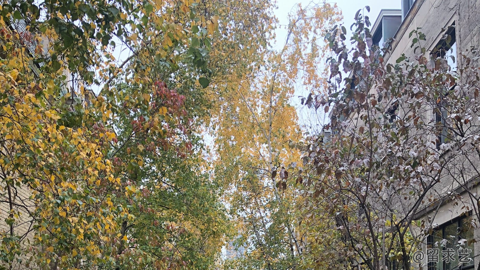 孩子上學(xué)遷戶口怎么辦理