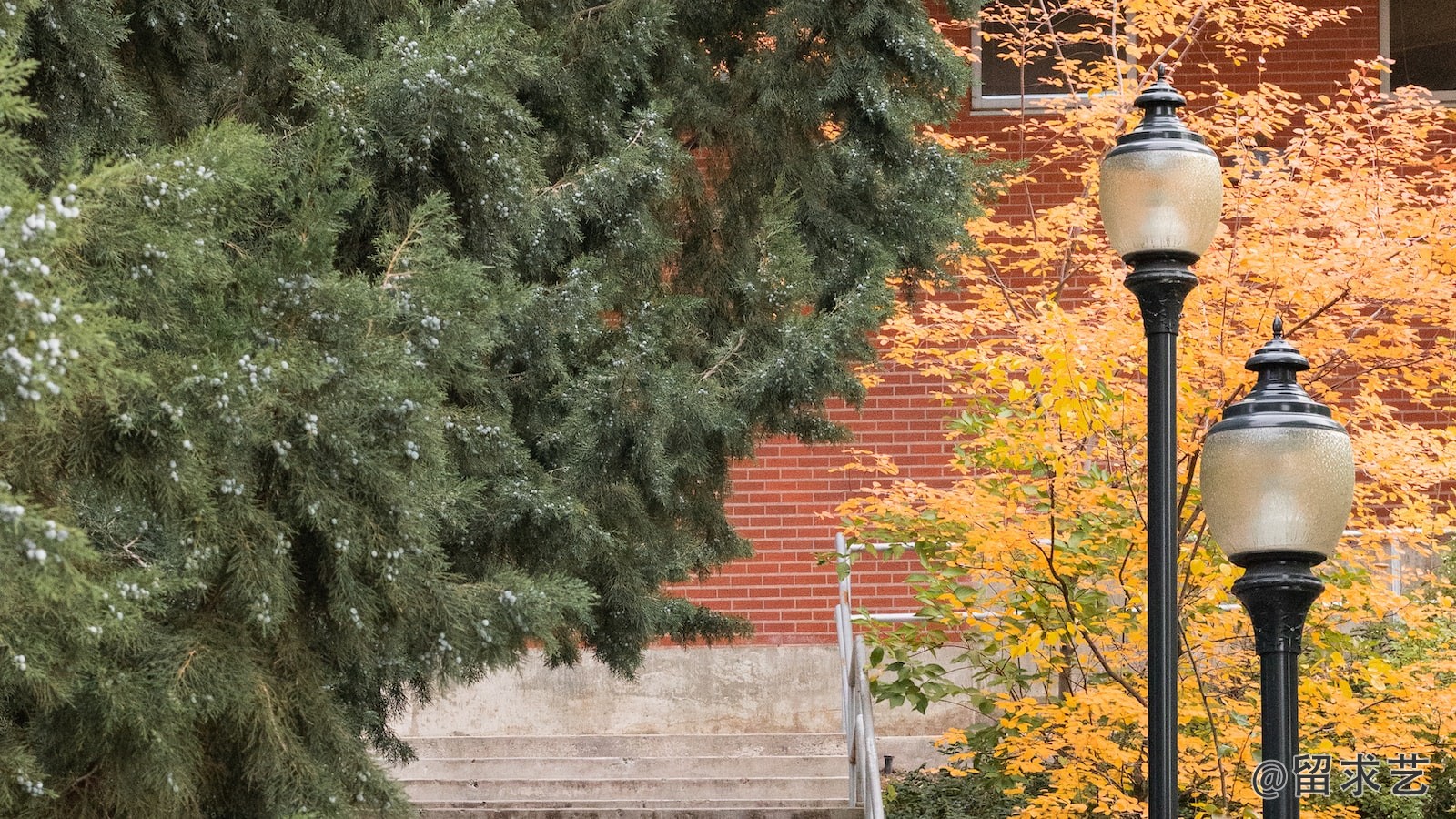 多倫多大學怎么從國外交學費