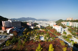 東義大學(xué)