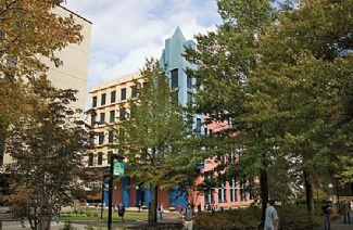 新澤西城市大學