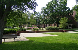 利普斯科姆大學(xué)