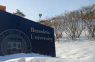 布蘭迪斯大學