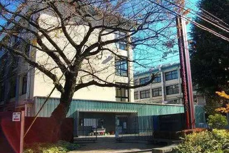 2022年?yáng)|京美術(shù)類(lèi)大學(xué)排名