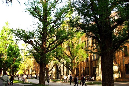 東京大學建筑學專業(yè)怎么樣？