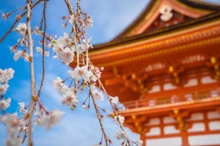日本藝術(shù)類研究生一年多少錢？
