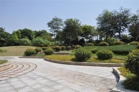 風景園林專業(yè)去日本讀研哪個大學好？