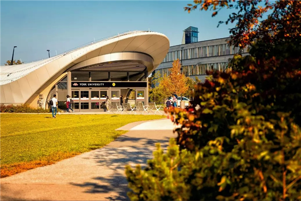 加拿大約克大學學費需要多少？