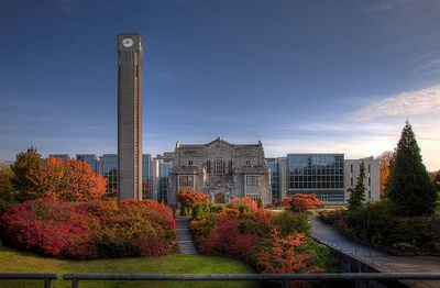 ucl大學申請條件