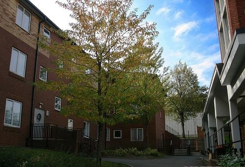 英國(guó)大學(xué)建筑專業(yè)排名