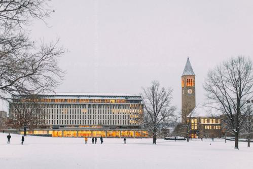 康奈爾大學學費情況一覽！