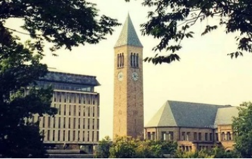 院校申請|康奈爾大學好申請嗎？