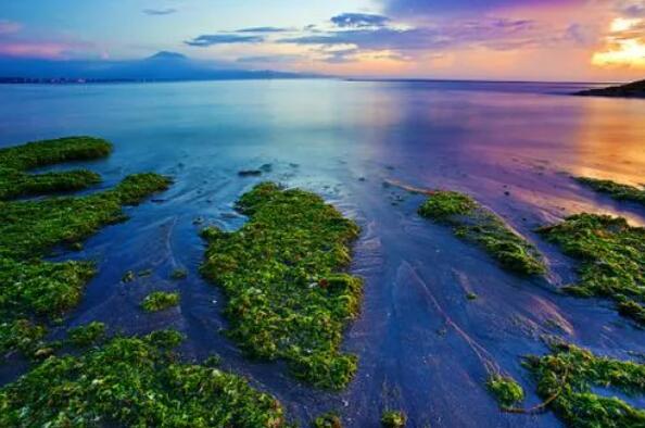 巴厘島個(gè)人旅游簽證(去巴厘島旅游辦理哪個(gè)國家的簽證)