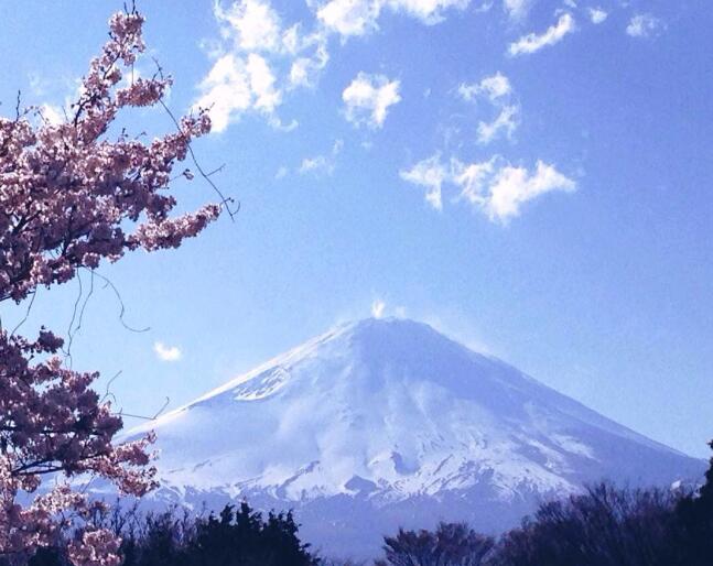 上海日本簽證去哪辦理流程(上海辦日本簽證的地址)