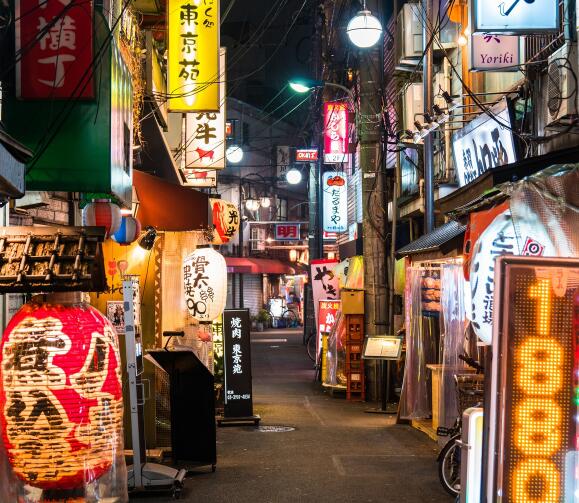自由行去日本怎么辦簽證(想去日本自由行怎么辦簽證)