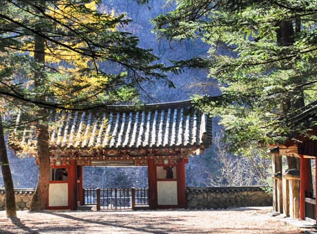 美國(guó)公民去朝鮮旅游簽證(中國(guó)公民去朝鮮需要簽證嗎)