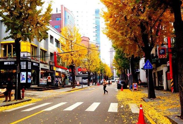 深圳旅行社韓國簽證辦理(韓國旅游簽證辦理流程)