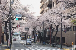 日本簽證在留資格(日本簽證在留資格有哪幾種)