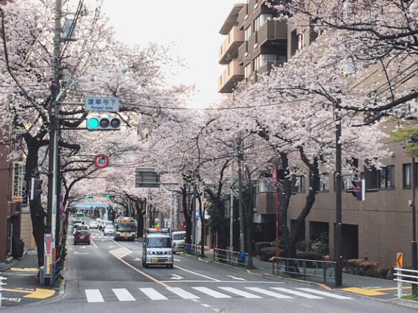 日本簽證在留資格(日本簽證在留資格有哪幾種)