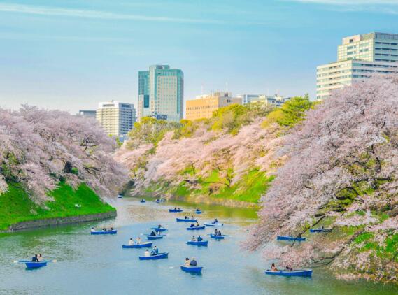 申請日本簽證費用多少錢(日本簽證需要多少費用)