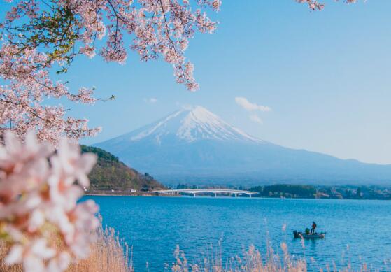 申請日本簽證費用多少錢(日本簽證需要多少費用)