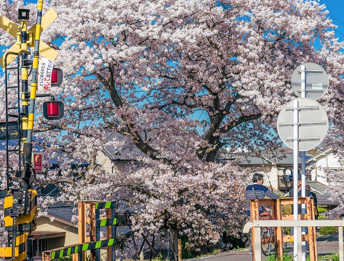 日本人入境簽證規(guī)定(最新日本入境簽證政策)
