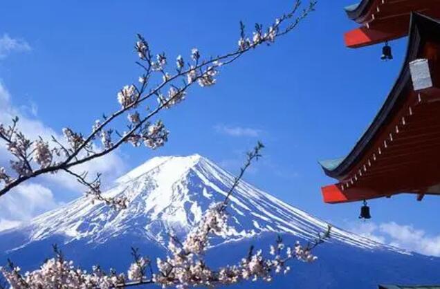 旅游簽證日本(旅游簽證日本多少錢)