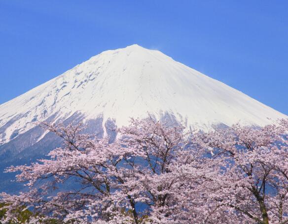 三年日本旅游簽證(日本旅游簽證3年往返條件)