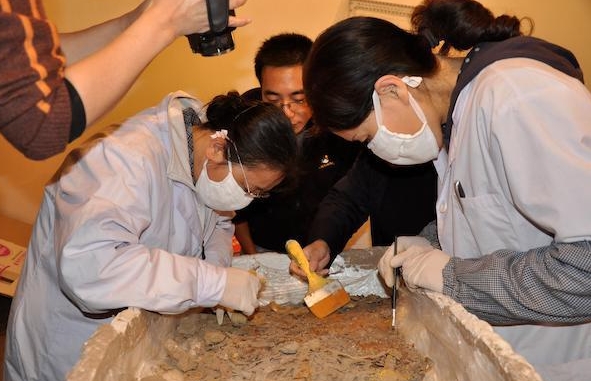 蒂賓根大學(xué)考古學(xué)怎么樣？2024QS世界大學(xué)學(xué)科排名第12！