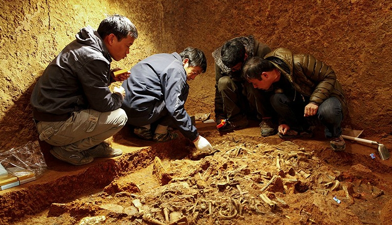 巴黎第一大學(xué)考古學(xué)怎么樣？2024QS世界大學(xué)學(xué)科排名第14！