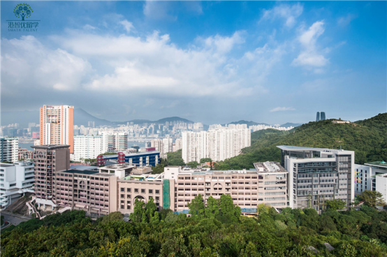 香港的國際學校真的這么高不可攀？