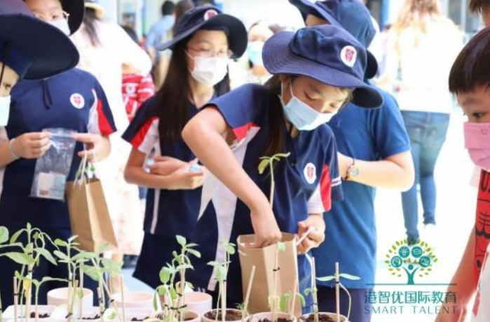 香港挪威國際學校怎么樣？